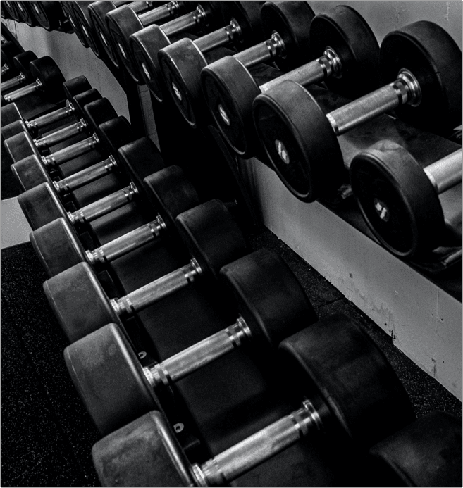 Reihen von Hanteln sind ordentlich auf Gestellen in einem Fitnessstudio angeordnet. Das Bild ist schwarz-weiß und betont die metallische Textur und die Gummigewichte der Hanteln.
