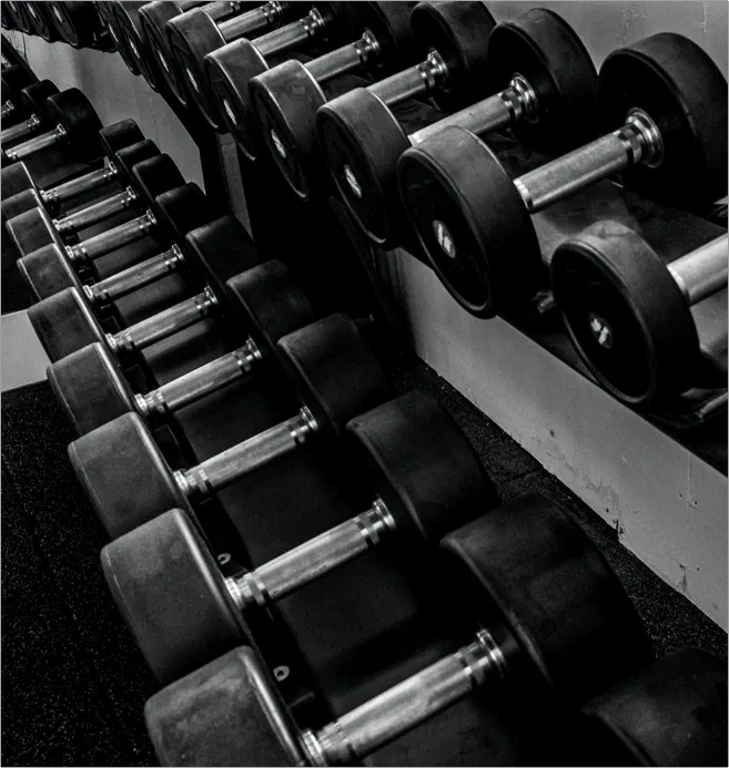Reihen von Hanteln sind ordentlich auf Gestellen in einem Fitnessstudio angeordnet. Das Bild ist schwarz-weiß und betont die metallische Textur und die Gummigewichte der Hanteln.