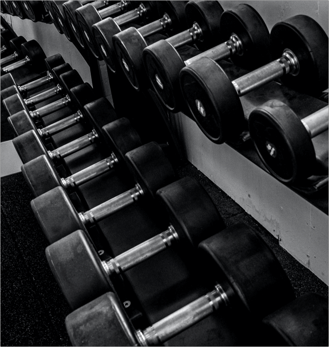 Reihen von Hanteln sind ordentlich auf Gestellen in einem Fitnessstudio angeordnet. Das Bild ist schwarz-weiß und betont die metallische Textur und die Gummigewichte der Hanteln.